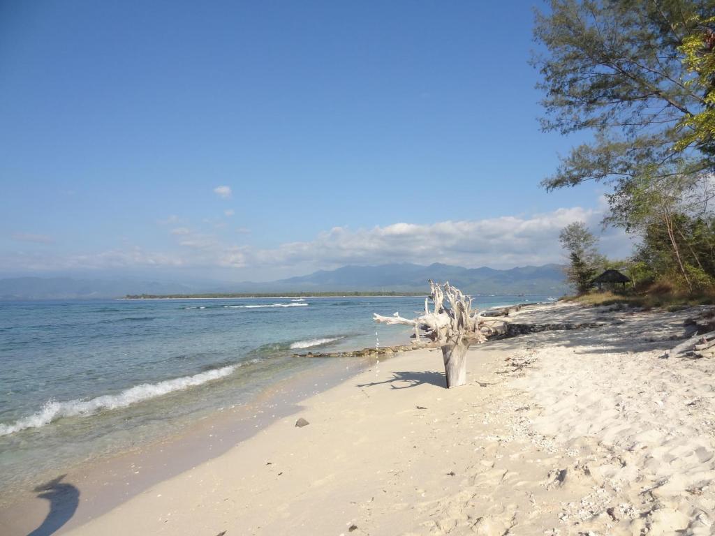 Kalinka Inn Gili Meno Esterno foto
